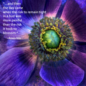 HUD Subsidized Housing For Seniors