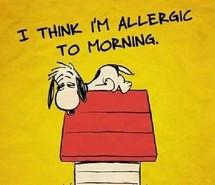 quote, morning, snoopy, allergic, sleepy, snoppy