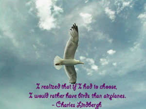 larry bird quotes bird quotes phoenix bird quotes big bird quotes bird ...