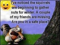 Nuts!!... ::)