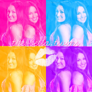 The Bella Twins Formspring Background