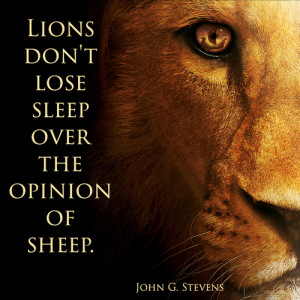 ... tags for this image include: lion, lose, opinion, quote and sheep
