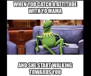 20 of the Best Snitching Kermit Memes from the Weekend