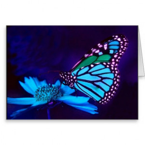 Butterfly in Blue Light Love Card
