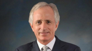 Corker calls for Syrian air strike - WSMV Channel 4