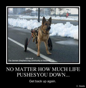 Mo Matter How Much Life Pushes You Down…