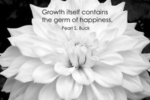 ... -flower-with-PEARL-S-BUCK-quote-INSPIRATIONAL-POSTER-24X36-happiness