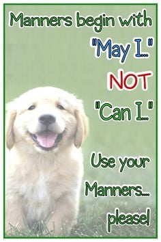 Etiquette Tips & Manners Quotes