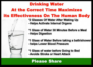 Drinking water at the correct time increases its effective functions ...