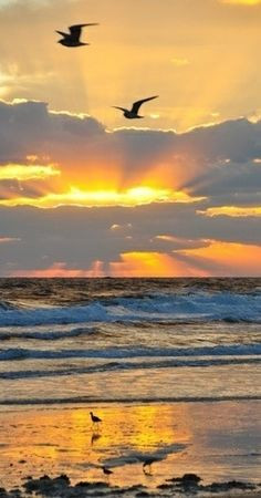 Florida sunrise - ©Paul Bates - http://paulbates.com/beautiful-early ...