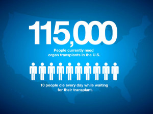 Organ donation statistics