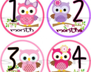 stickers Baby month stickers baby girl gift Month baby stickers Months ...