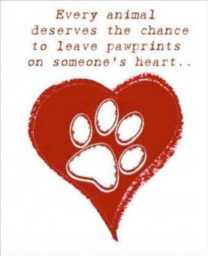 Adopt a pet! Please, there are so many in shelters waiting on death ...