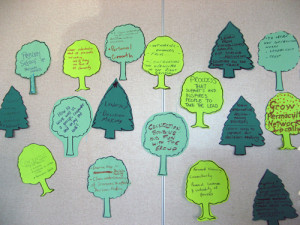 Port Kembla Goal Trees CCGDM 300x225 Creative Community Governance and ...