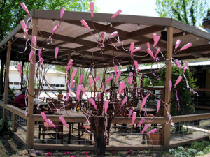 ... amy how early is gender determined hope floats quote families are for