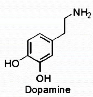 Dopamine Drives Impulsive Behavior Over Control