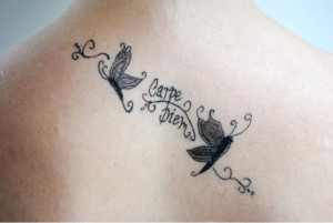 latin quote with two butterflies and the popular quote meaning cease ...