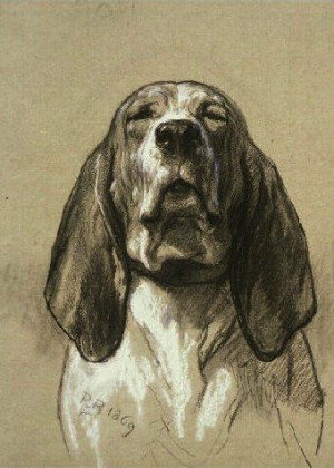 ღღ Rosa Bonheur: Hound Dogs, Bonheur Hound, Rosa Bonheur I, Art ...