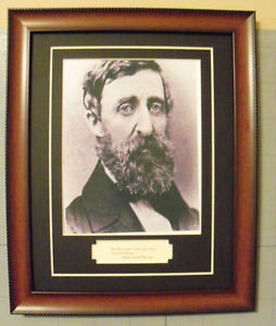 ... David Thoreau American Author Famous Quote & Photo Matted & Framed
