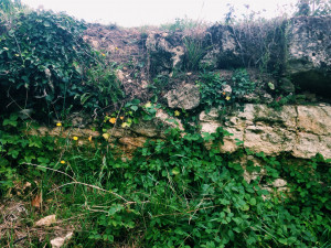 What Lies Beneath The Surface Quotes