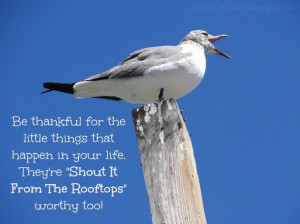 Be thankful for the little things quote