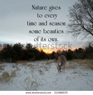 Inspirational quote on nature by Charles Dickens with a lone doe ...