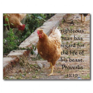 Bible quote about Animal Cruelty Proverbs 12:10 Postcard