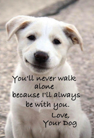 Things My Dog Thinks About