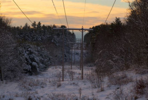 House Lawmakers OK Bill Encouraging Buried Powerlines