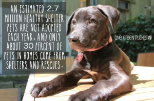 Via Corrie Robertson