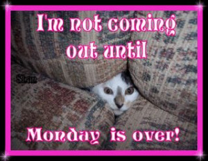 ... monday morning jokes happy monday monday morning blues monday morning