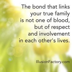 bond that links your true family is not one of blood, but of respect ...