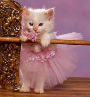 Tütü etek modelleri 2012 , 2012 tütü etek modelleri , Japon style ...