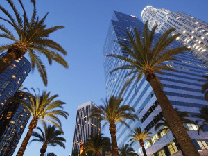feature-los-angeles-downtown_27033_600x450.jpg
