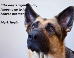 ... Dog Is A Gentleman I Hope To Go To His Heaven Not Man - Animal Quote