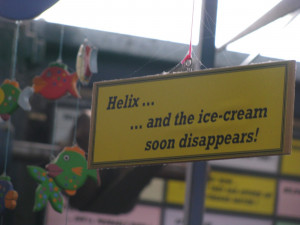 Posted by Alison Hislop at 08:00