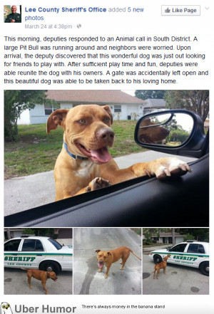 At least some Police agencies know how to interact with dogs.