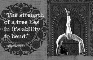 survive hurricanes are the ones that have deep roots and the supple ...