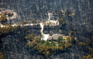 Firefighters Somehow Saved This House From The Most Destructive Forest ...