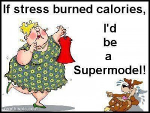 stress burned calories funny quotes quote lol funny quote funny quotes ...