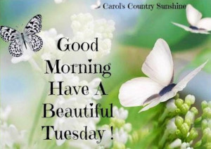 Good Morning Happy Tuesday Quotes Good Morning Happy Tuesday