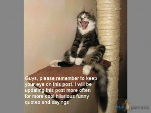 Cool quotes and sayings, quotes and sayings, famous quotes