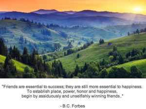 ... begin by assiduously and unselfishly winning friends.