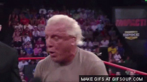 UnderGround Forums >>Ric Flair At UFC Fight Night 35 (pic)