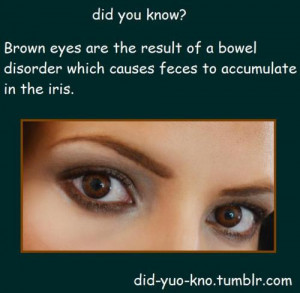 eyes fact brown eyes