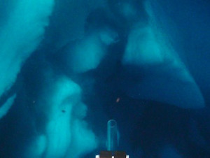 Funny Quotes Contact Dmca