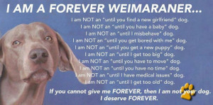 Found on Uploaded by user