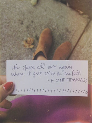 Scott Fitzgerald (quotes)