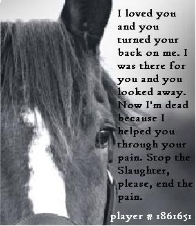 ... yes no horses rock i love horses end the madness stop horse slaughter