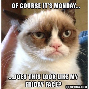 Grumpy Cat Quotes Tumblr